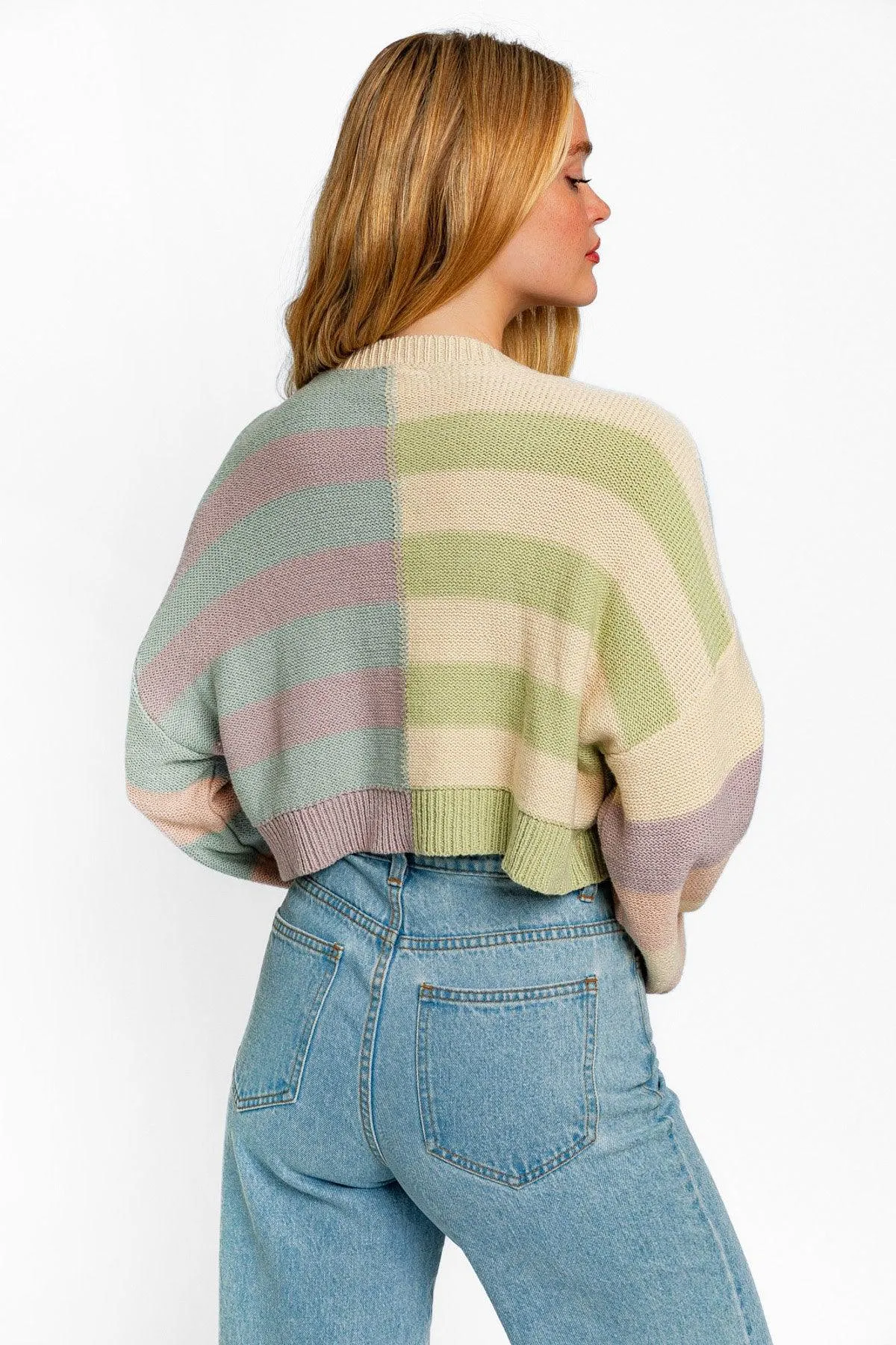 Long Sleeve Multi Color Cropped Knit Sweater